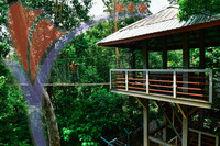Canopy Walk Guar Chenderai , Perlis