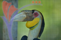 Bird Park