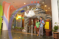 Cat Museum