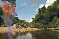 Kuala Koh