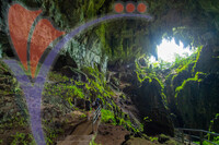 Fairy Cave