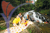 Kota Tinggi Waterfalls