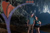 Mulu Deer Caves, Sarawak