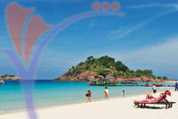Coral Redang