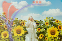 Sunflower Garden
