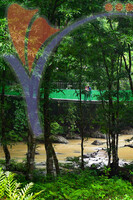 Tabin Wildlife, Sabah