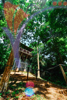 Canopy Walk Guar Chenderai , Perlis