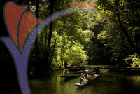 Eco & Agro Tourism - Mulu National Park Sarawak