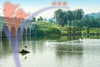Taman Wetland - Putrajaya