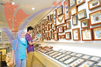 Butterfly Farm