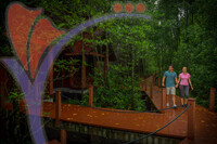 Matang Mangrove