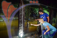 Night Safari Zoo Taiping , Perak