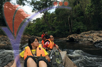 Kuala Koh