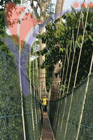 Kuala Koh