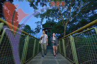 Rainforest Discovery Centre