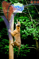 Lost World of Tambun - Ipoh, Perak