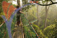 Danum Valley