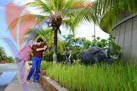 Muzium Padi
