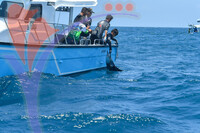 The Royal Pahang Billfish International Challenge