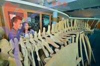 Marine Museum