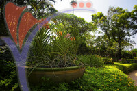 Orchid & Hibiscus Gardens - Kuala Lumpur