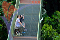Rainforest Discovery Centre