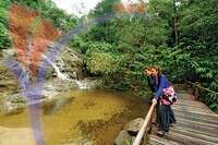 Gunung Ledang