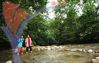 Hutan Lipur Kuala Woh - Tapah - Perak