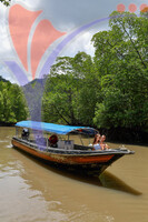 Kilim River Mangrove Tour, Langkawi, Kedah
