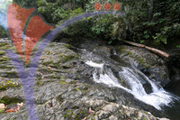 Danum Valley Waterfall