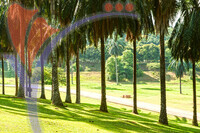 Taman Botani (botanical Garden)