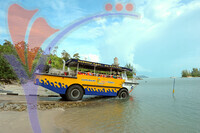 Duck Tours