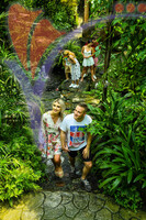 Kuala Lumpur Butterfly Park