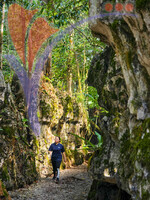 Paku Rock Maze Garden