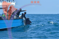 The Royal Pahang Billfish International Challenge