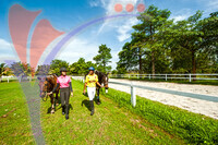 Putrajaya Equestrian Park - Putrajaya
