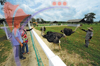Uk Agro Farm