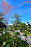 The Jerai Hill