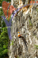 Chinese Temple, Gua Musang, Kelantan