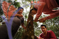 Kampung Temenim Baru Home Stay - Johor