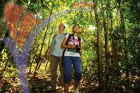 Jungle Tracking