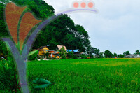 Kampung Ujung Bukit , Perlis