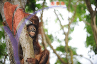 Melaka Zoo
