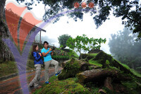 Bukit Larut - Taiping - Perak