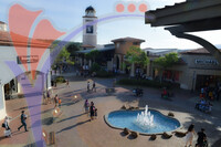 Jpo
