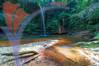 Rainforest Natural Pool
