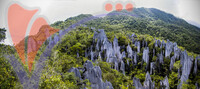 Pinnacles in Gunung Mulu National Park