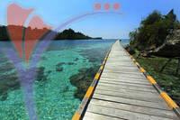 Pulau Papan