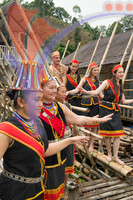 Bidayuh Dancers At Annah Rais Homestay, Kuching, Sarawak