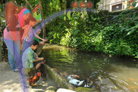 Bukit Merah Lake Town - Taiping - Perak